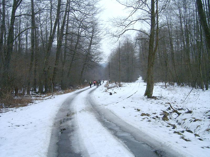 20110219 068.jpg